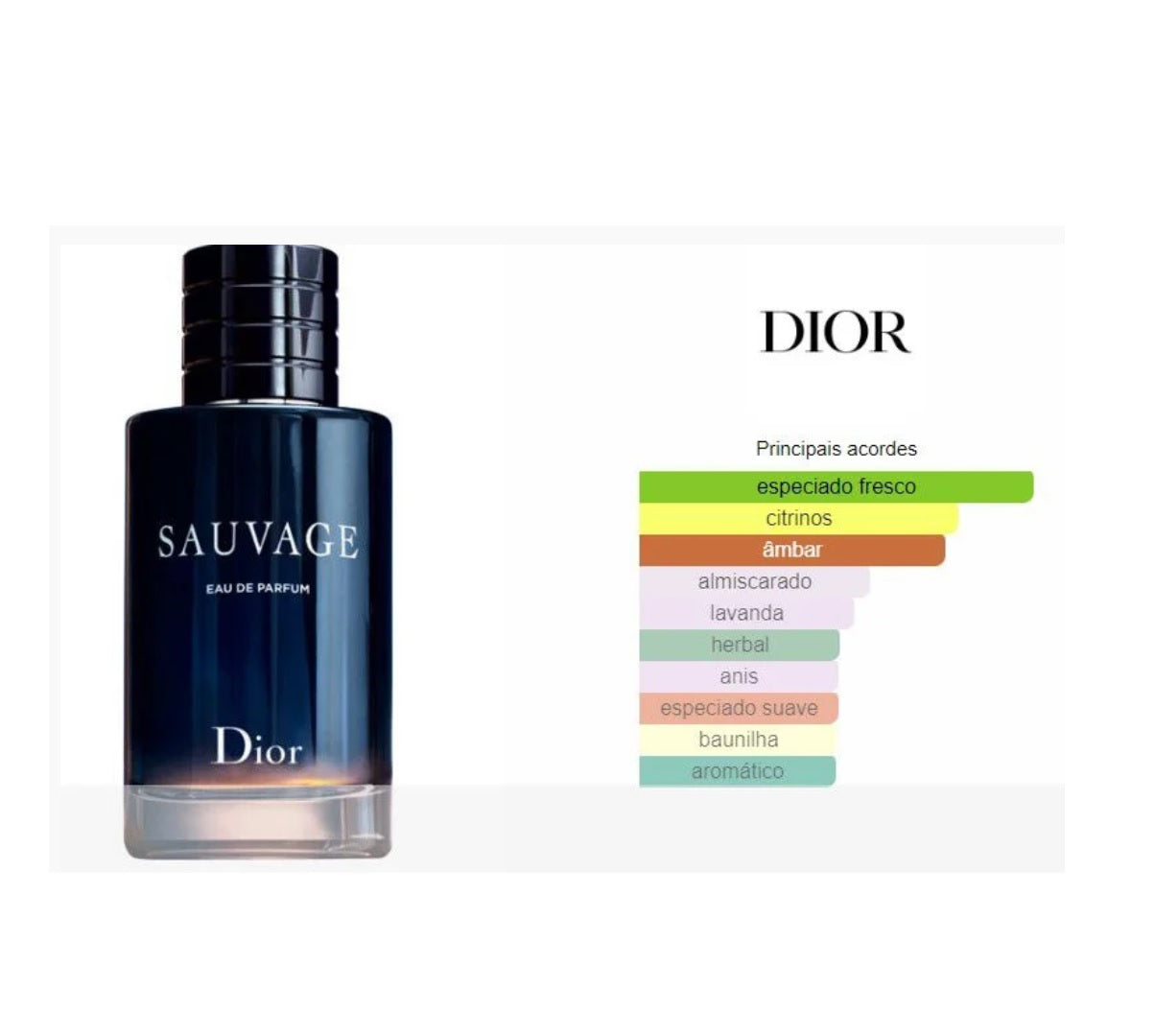 Perfume Masculino Sauvage Dior Eau De Parfum 100ml (Sauvage_100ml)